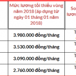 quy-dinh-xu-phat-doanh-nghiep-khong-dong-bao-hiem
