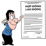 hợp đồng lao động mới nhất