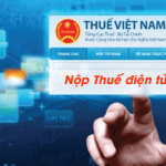 không nộp được tờ khai
